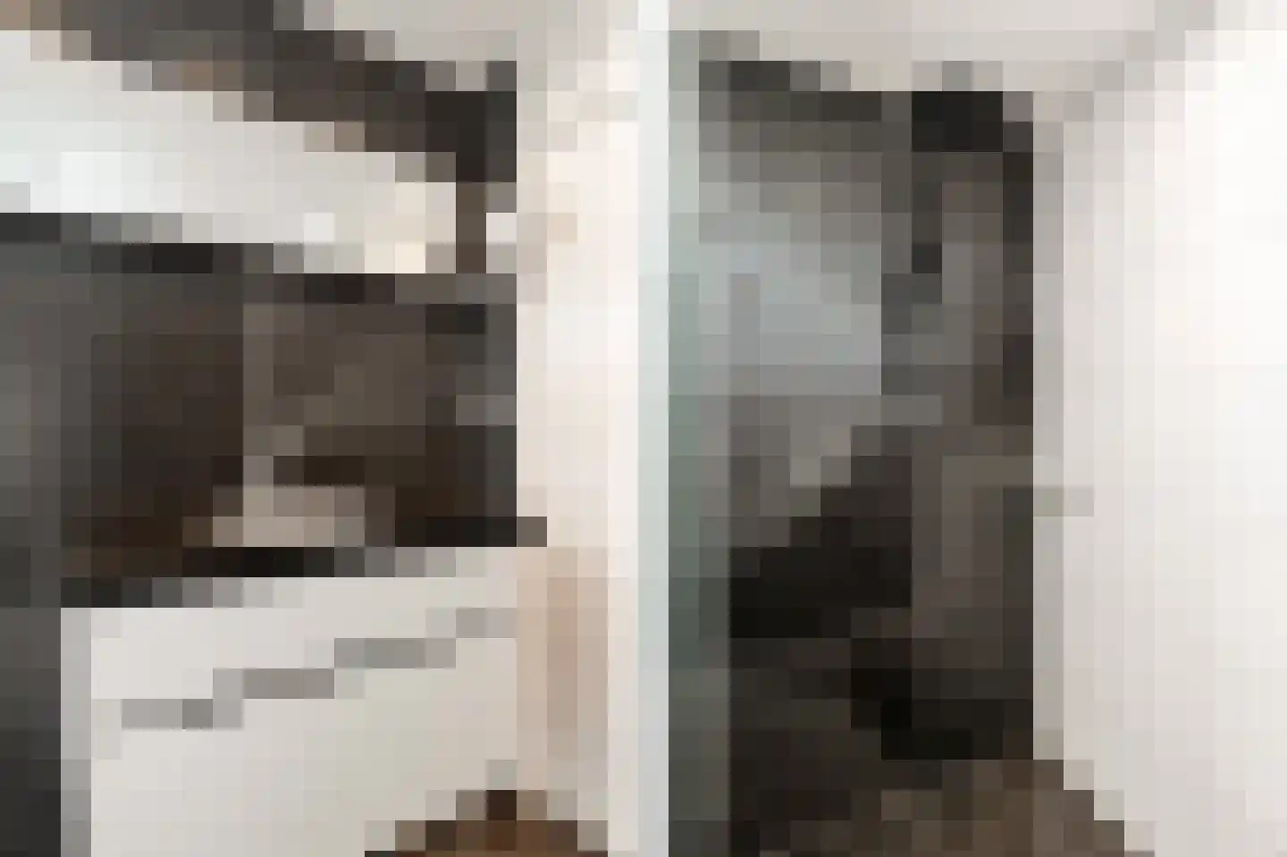 Menso Kamerlingh Onneslaan 34 Oegstgeest thumbnail 31