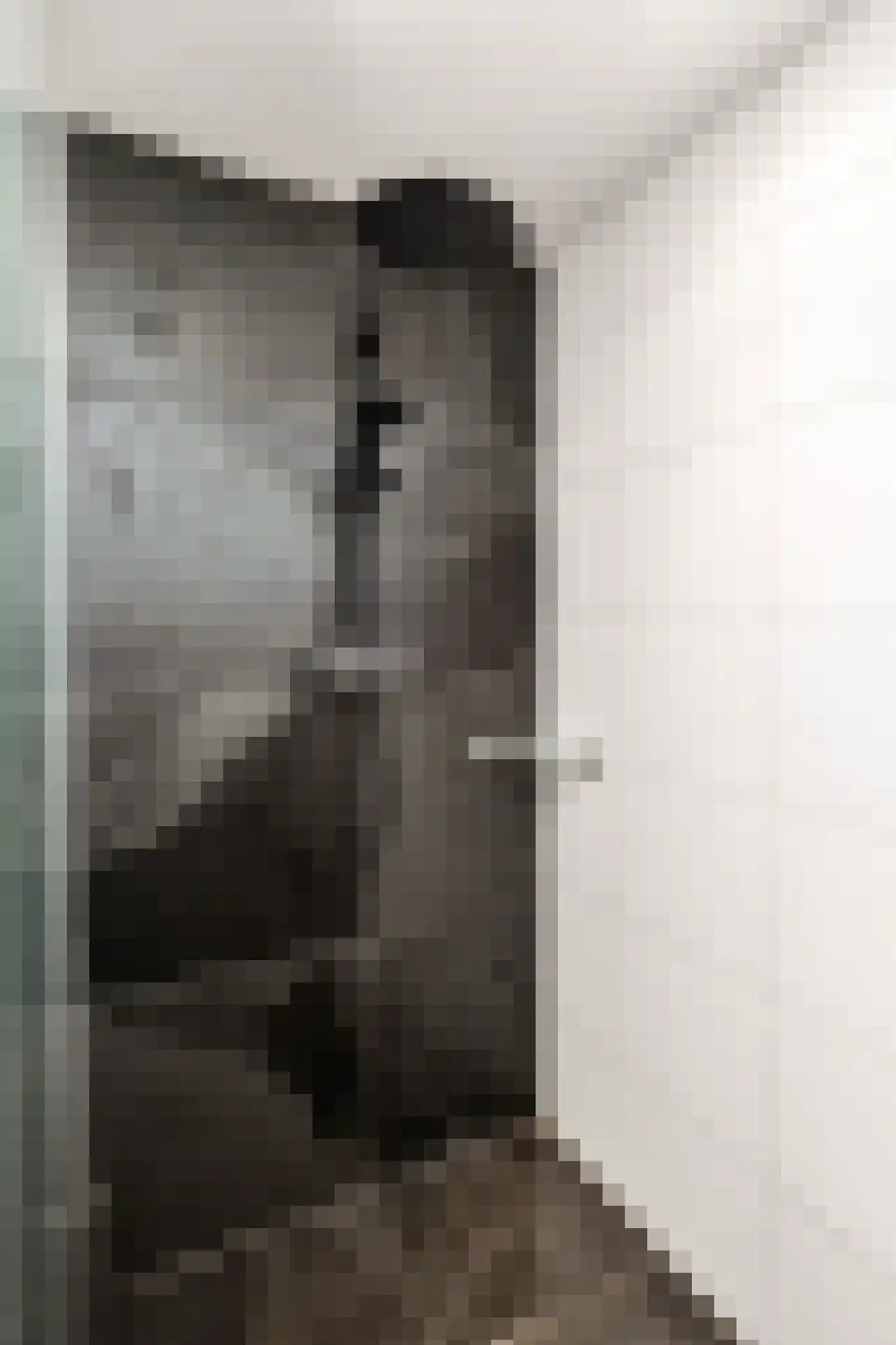 Menso Kamerlingh Onneslaan 34 Oegstgeest thumbnail 33