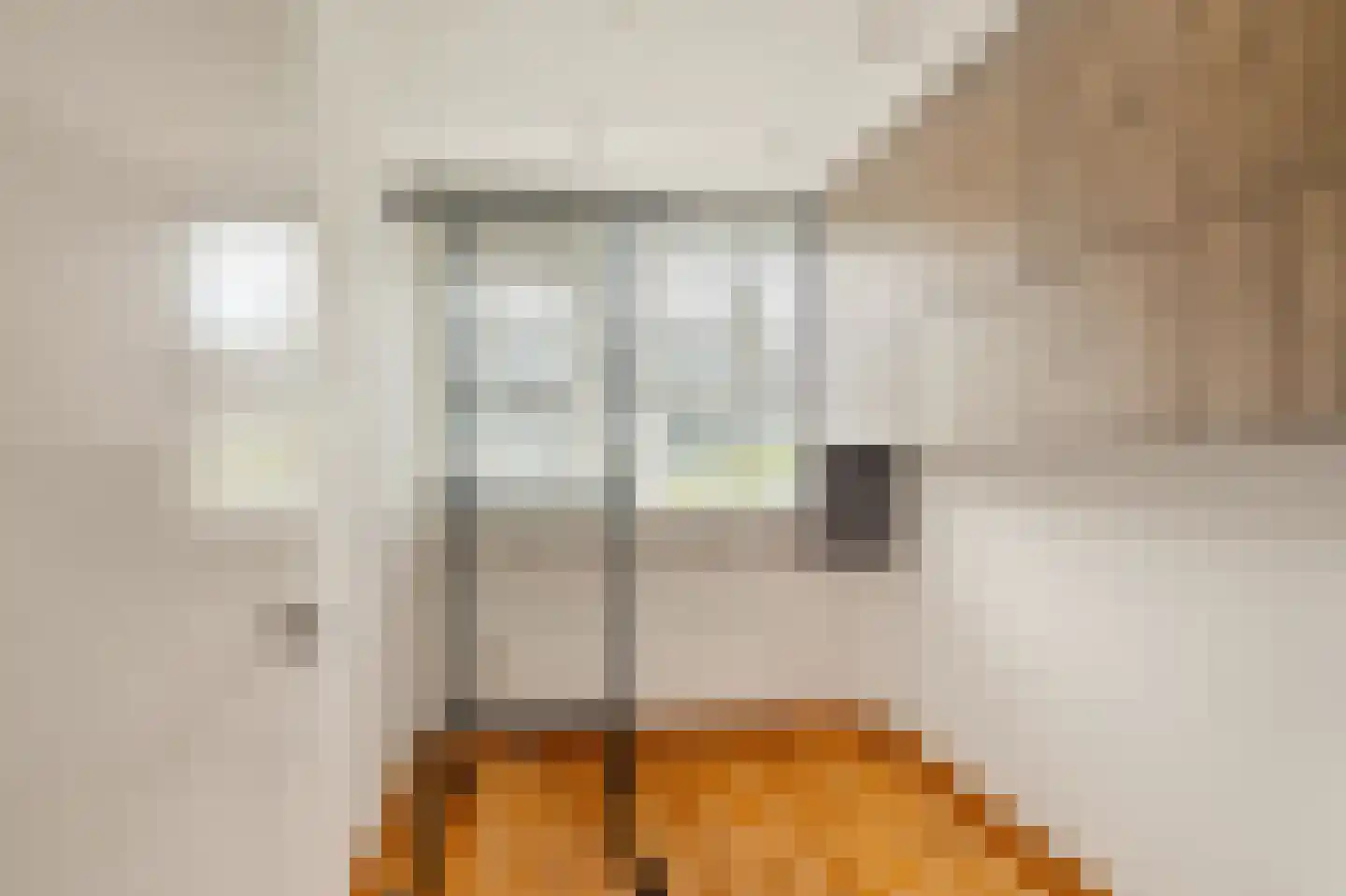 Menso Kamerlingh Onneslaan 34 Oegstgeest thumbnail 35