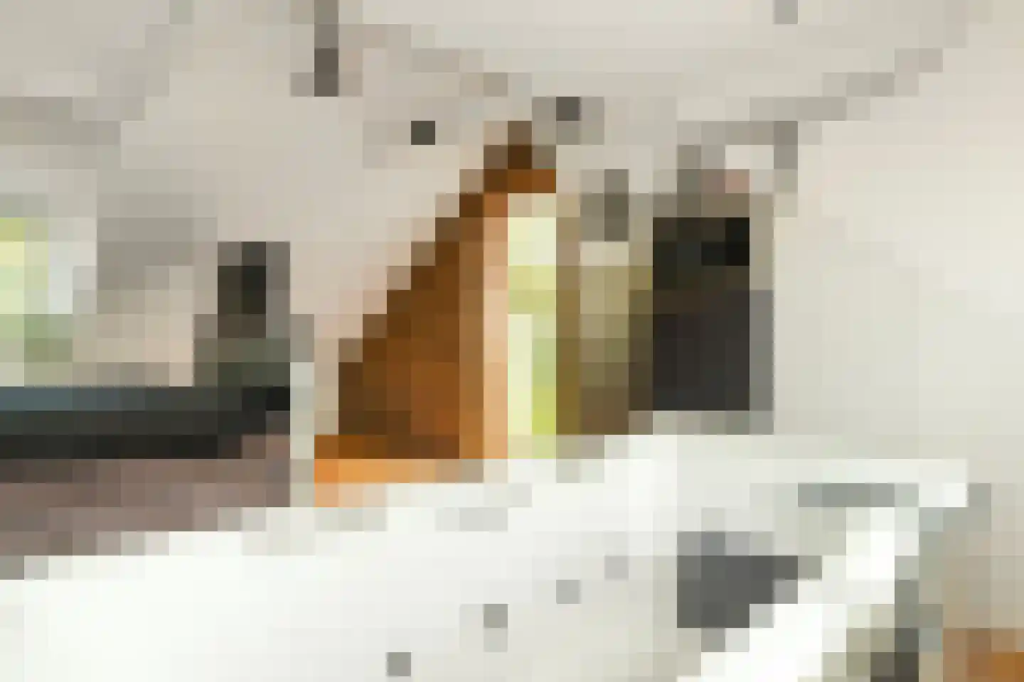 Menso Kamerlingh Onneslaan 34 Oegstgeest thumbnail 45