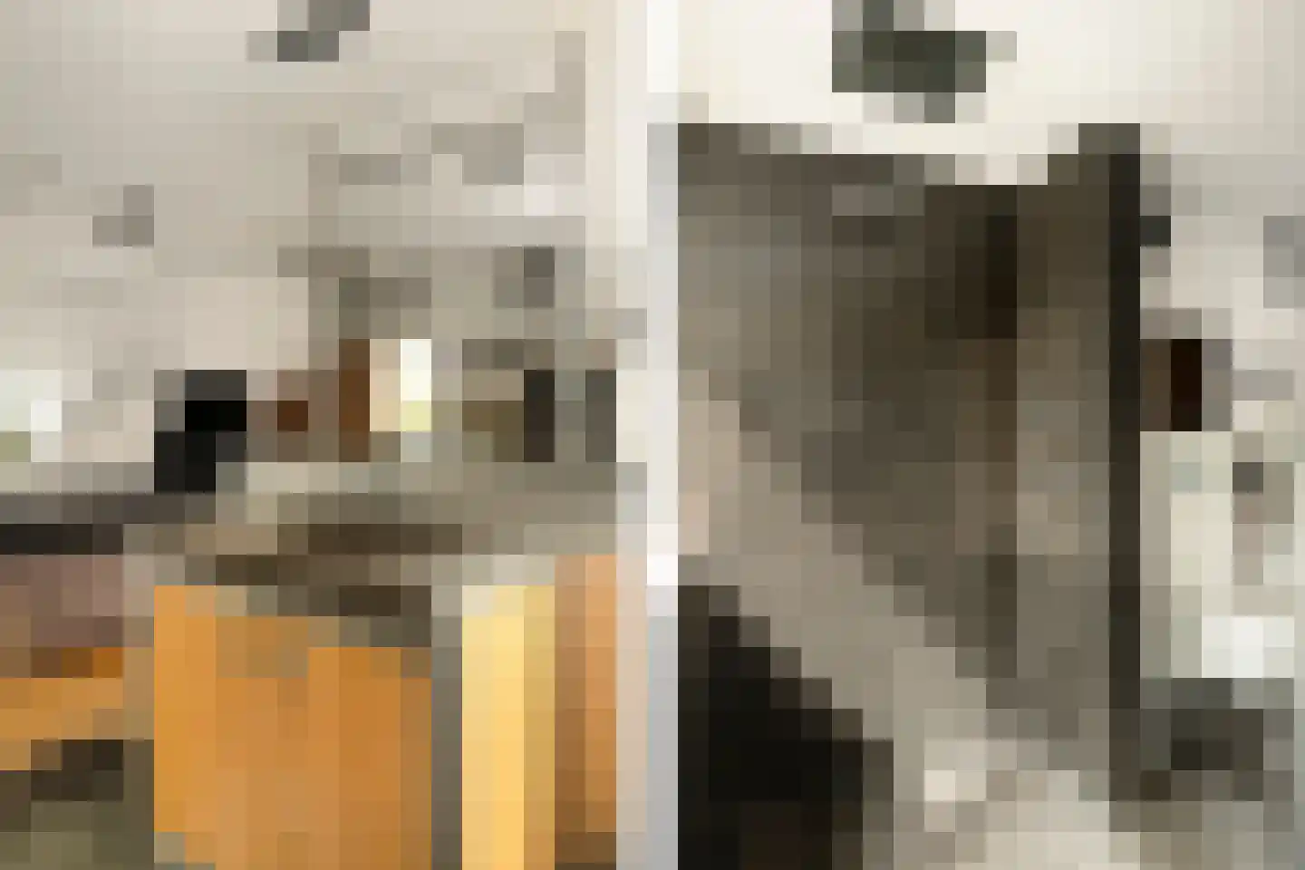 Menso Kamerlingh Onneslaan 34 Oegstgeest thumbnail 50