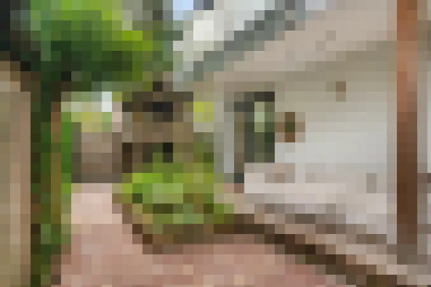 Menso Kamerlingh Onneslaan 34 Oegstgeest thumbnail 52