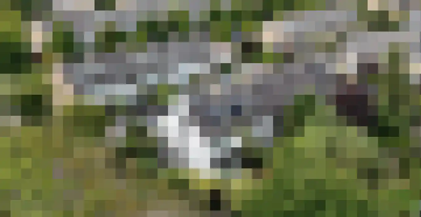 Menso Kamerlingh Onneslaan 34 Oegstgeest thumbnail 55