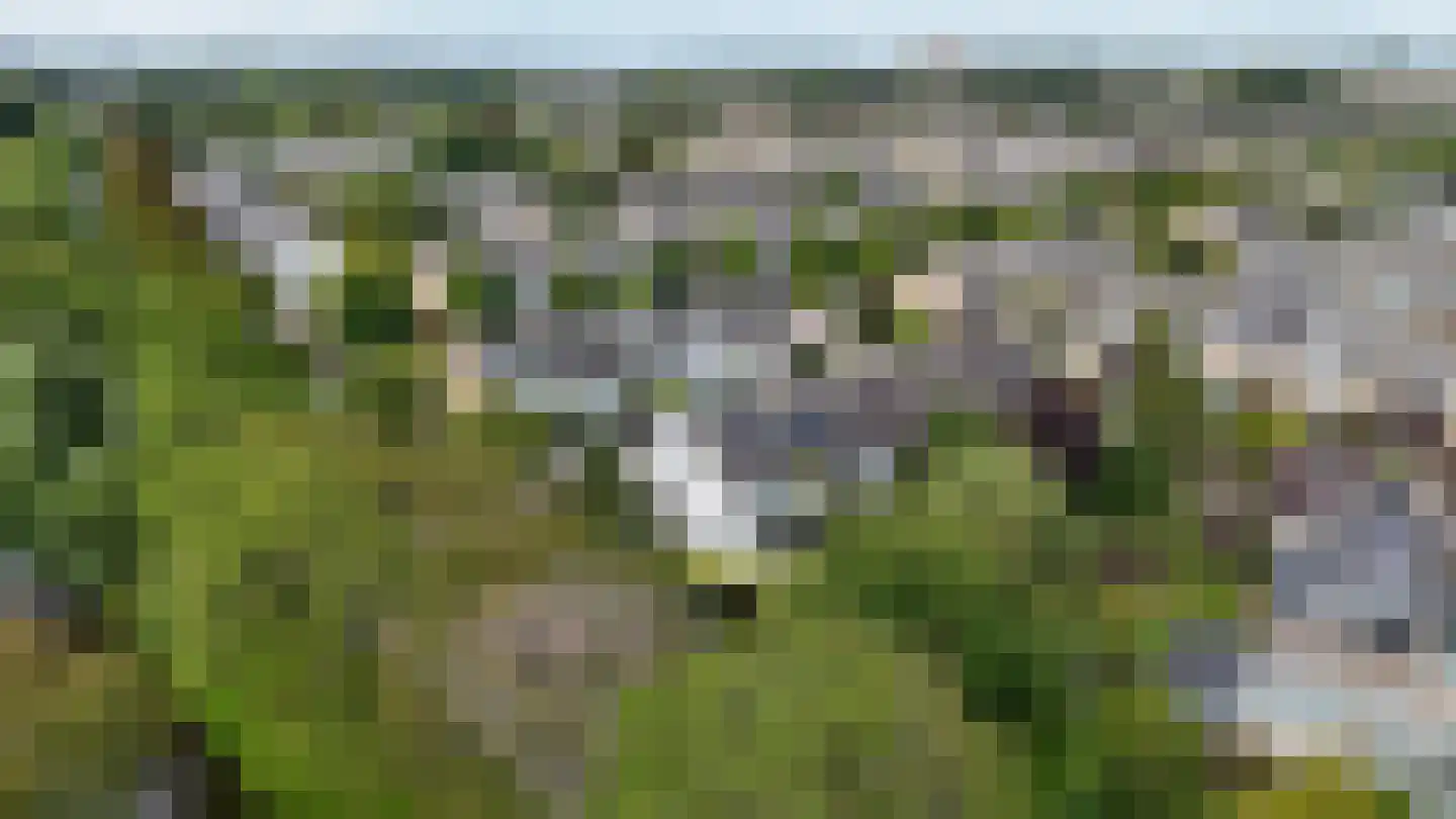 Menso Kamerlingh Onneslaan 34 Oegstgeest thumbnail 57