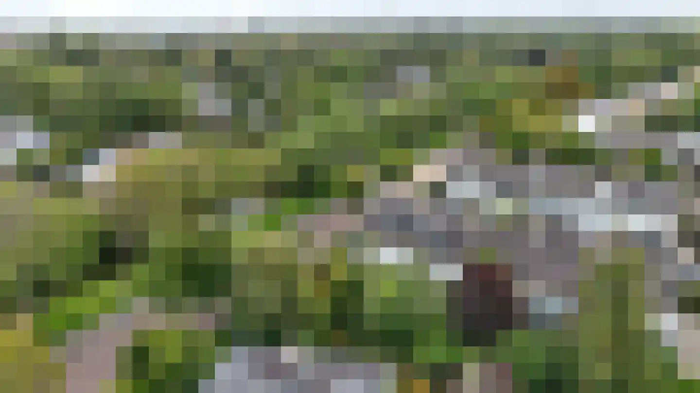 Menso Kamerlingh Onneslaan 34 Oegstgeest thumbnail 58