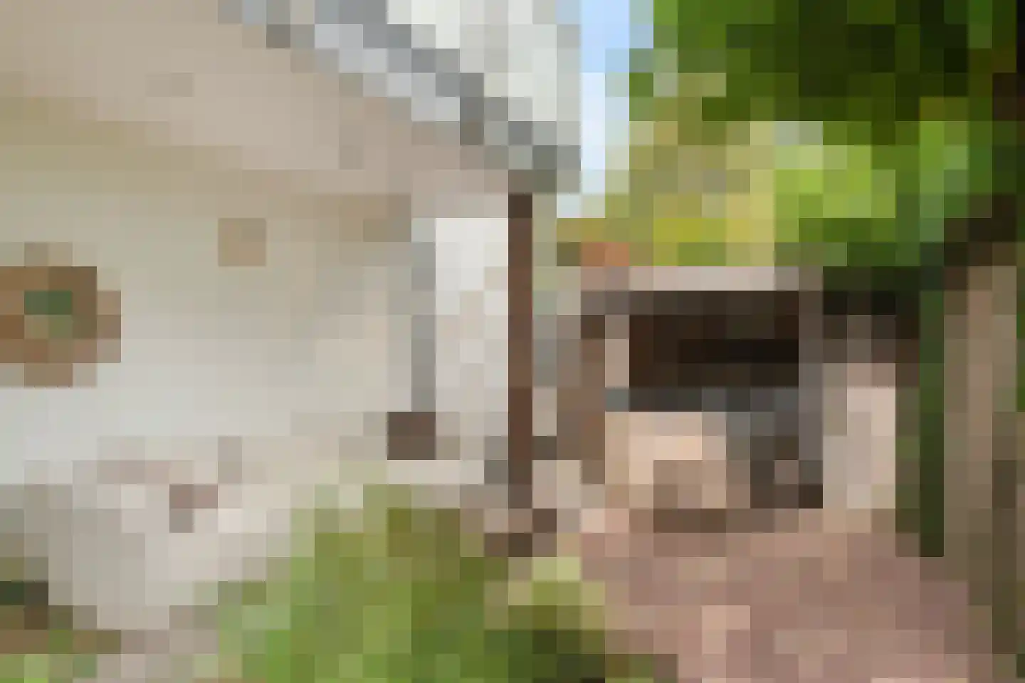 Menso Kamerlingh Onneslaan 34 Oegstgeest thumbnail 6