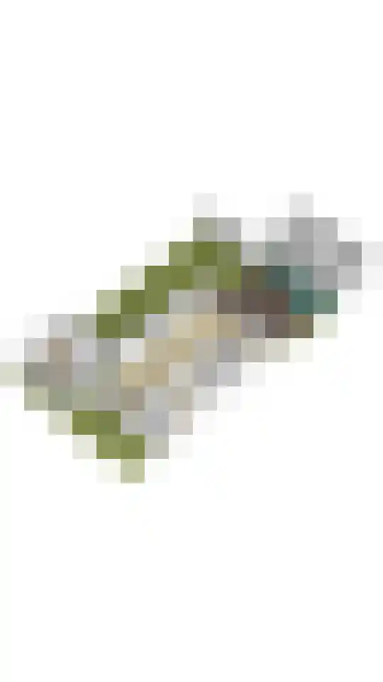 Menso Kamerlingh Onneslaan 34 Oegstgeest thumbnail 70