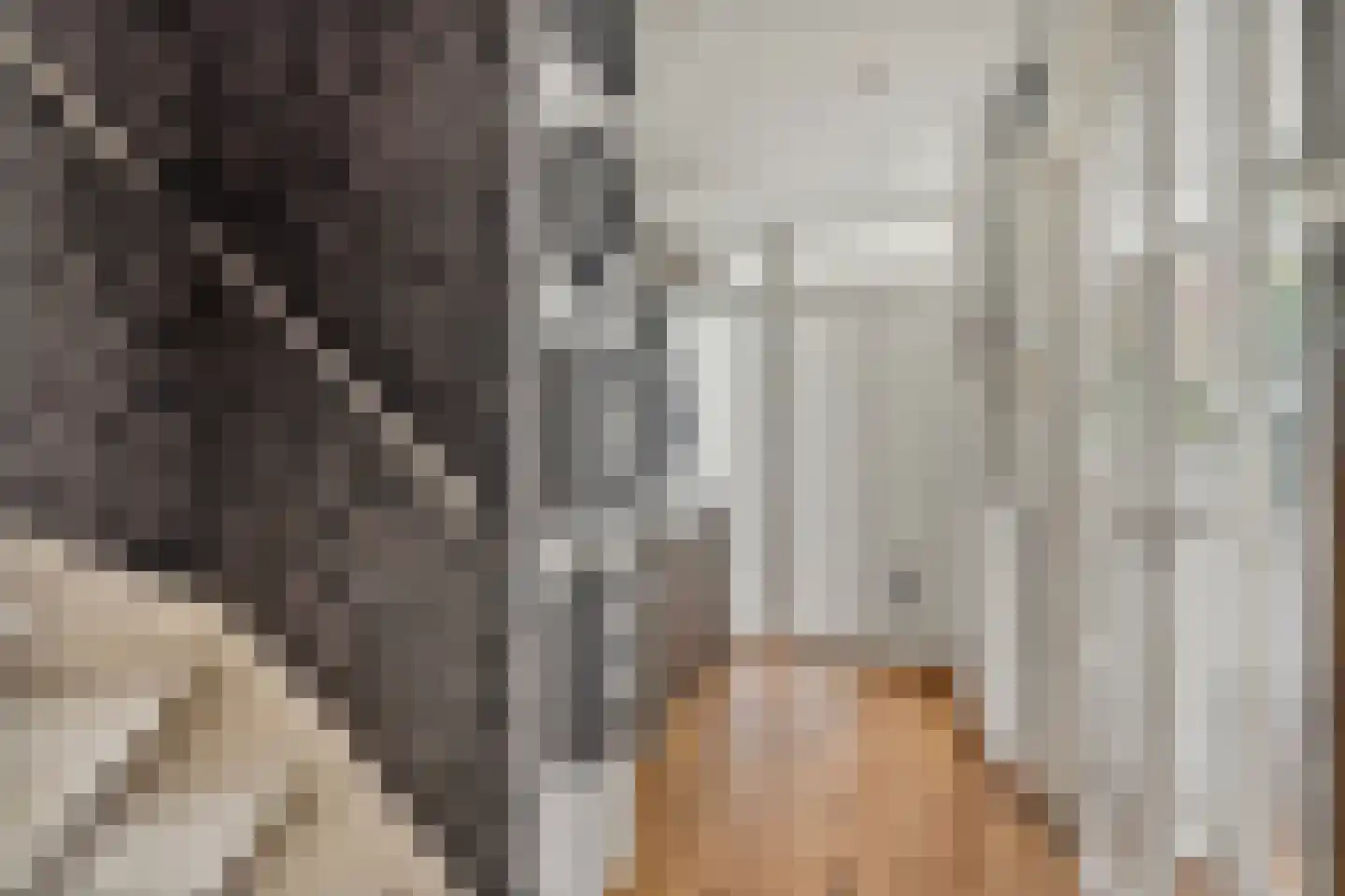 Menso Kamerlingh Onneslaan 34 Oegstgeest thumbnail 9