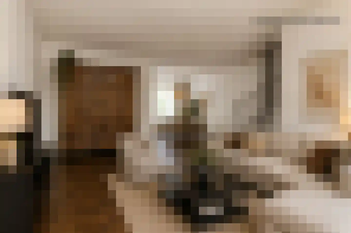 Menso Kamerlingh Onneslaan 5 Oegstgeest thumbnail 10