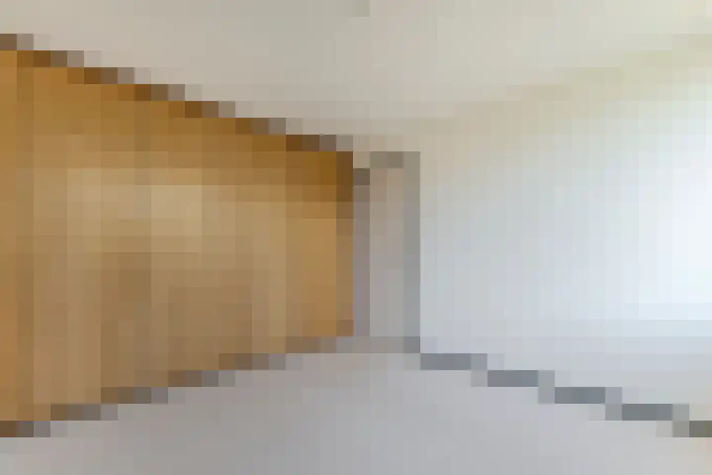 Menso Kamerlingh Onneslaan 5 Oegstgeest thumbnail 25
