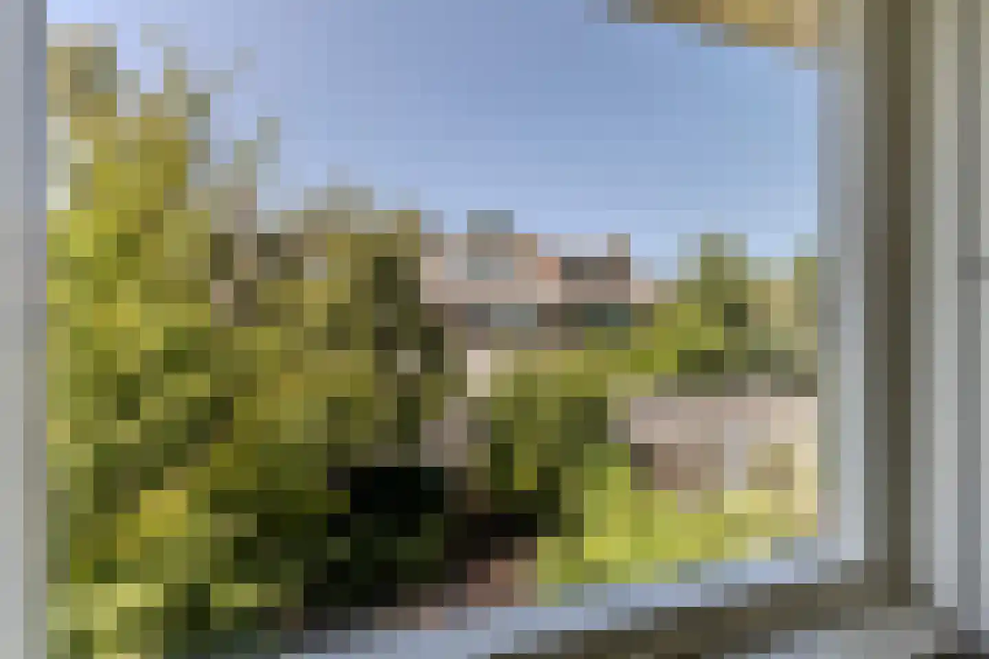 Menso Kamerlingh Onneslaan 5 Oegstgeest thumbnail 33