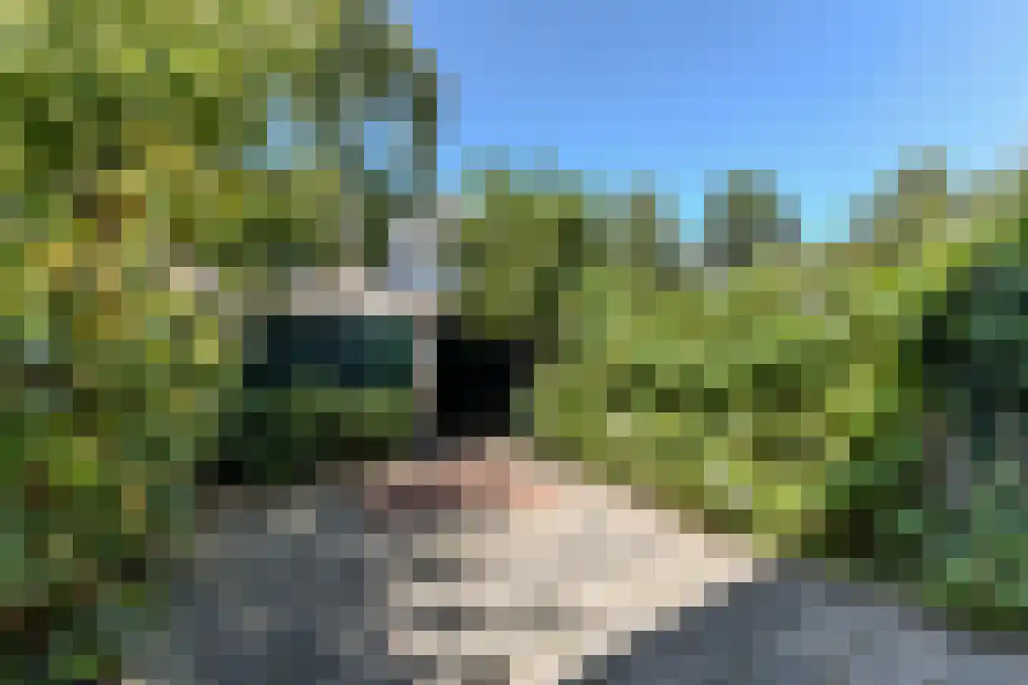 Menso Kamerlingh Onneslaan 5 Oegstgeest thumbnail 34