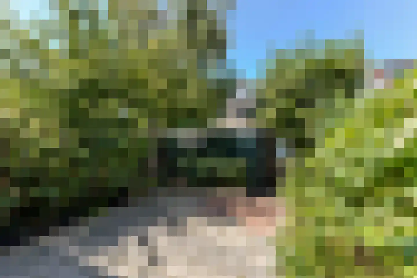 Menso Kamerlingh Onneslaan 5 Oegstgeest thumbnail 35