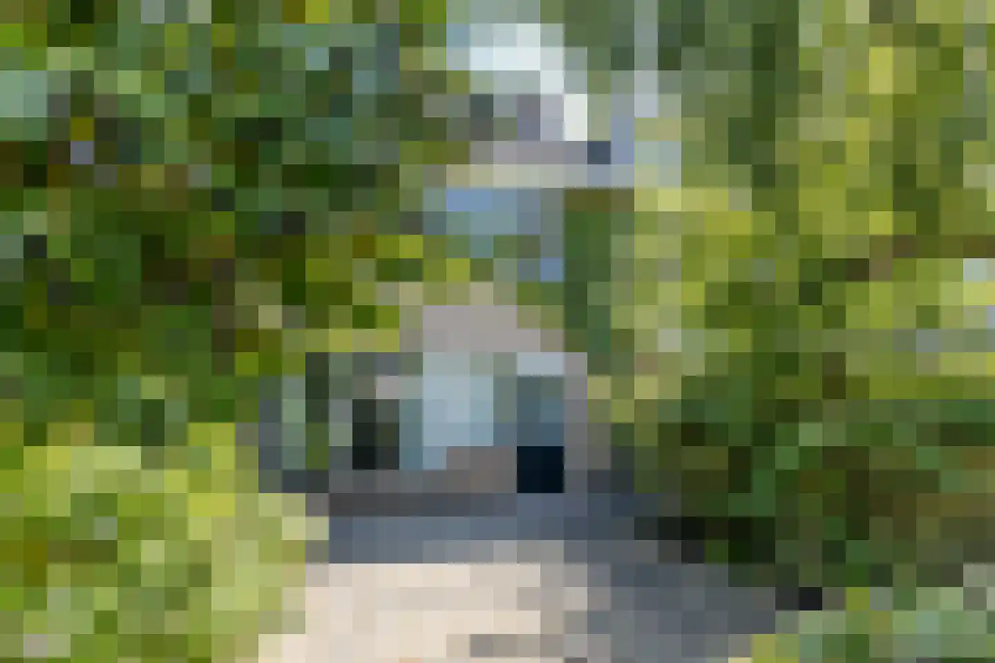 Menso Kamerlingh Onneslaan 5 Oegstgeest thumbnail 36