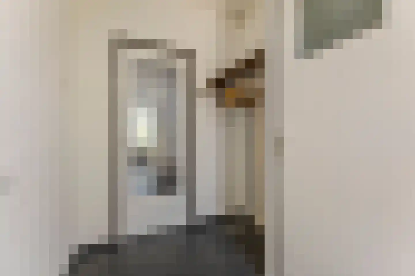 Menso Kamerlingh Onneslaan 5 Oegstgeest thumbnail 5