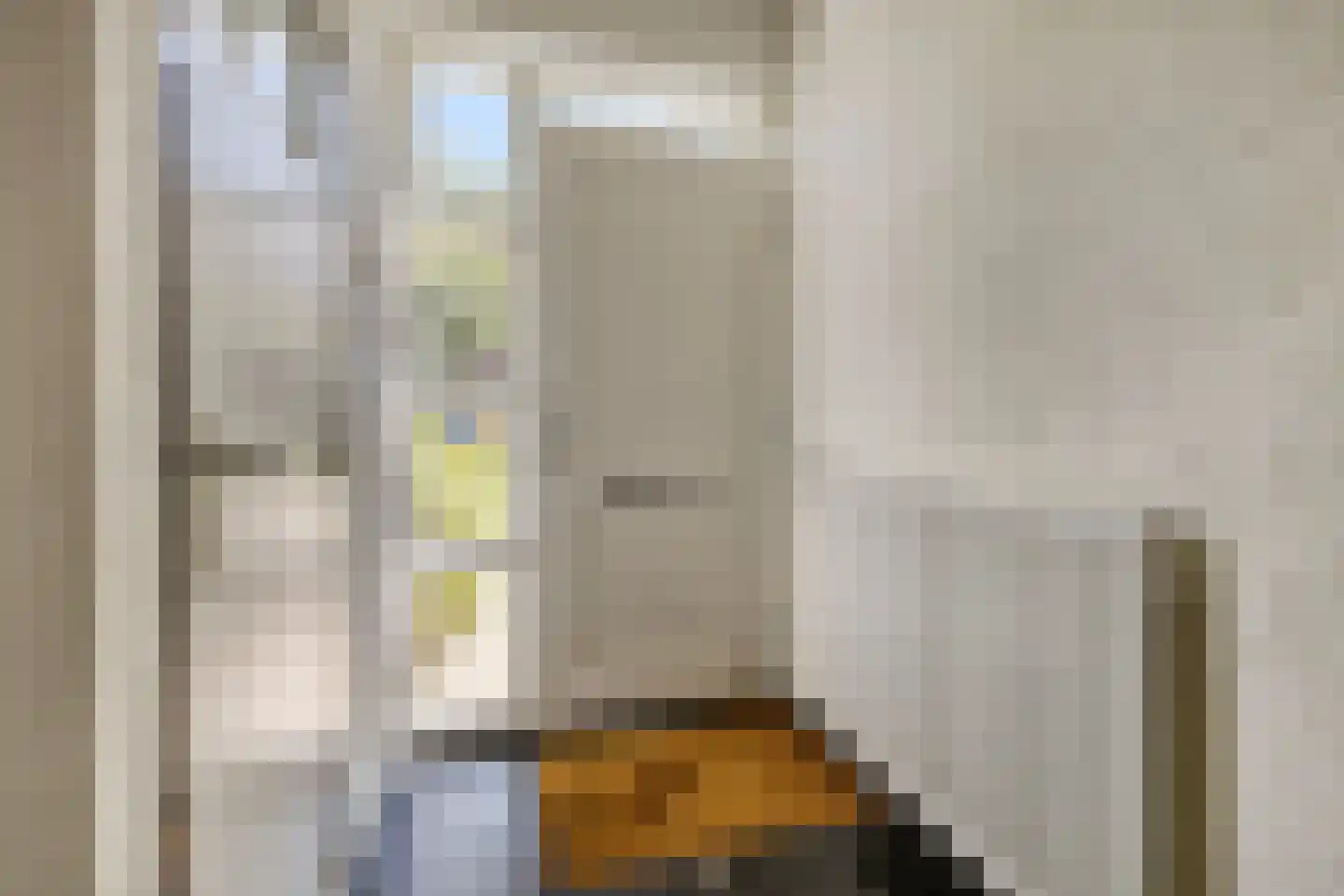 Menso Kamerlingh Onneslaan 5 Oegstgeest thumbnail 6