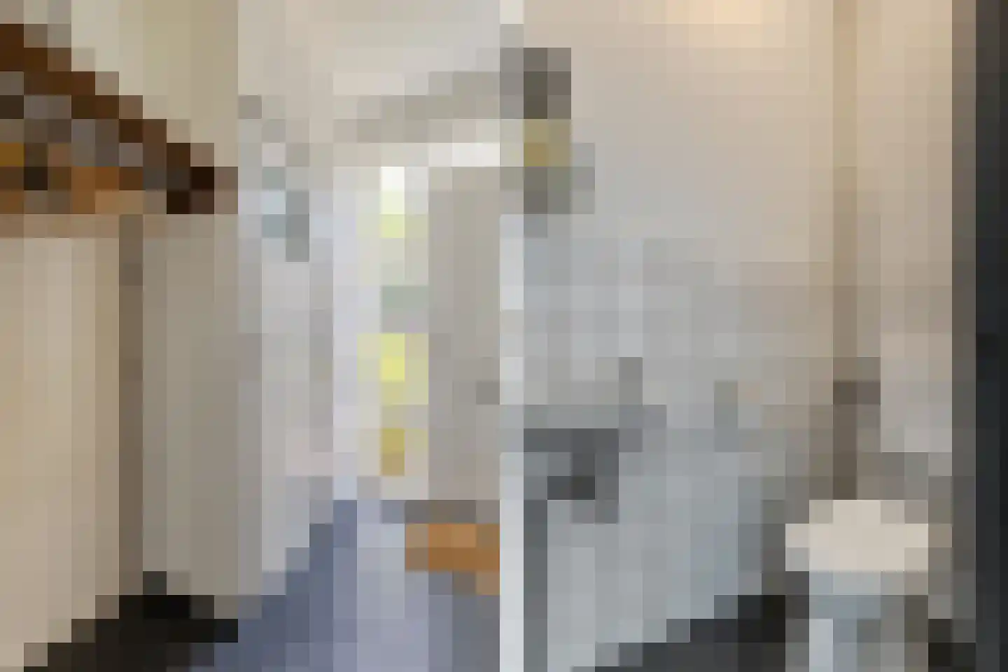 Menso Kamerlingh Onneslaan 5 Oegstgeest thumbnail 7