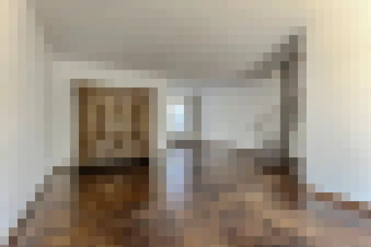 Menso Kamerlingh Onneslaan 5 Oegstgeest thumbnail 8