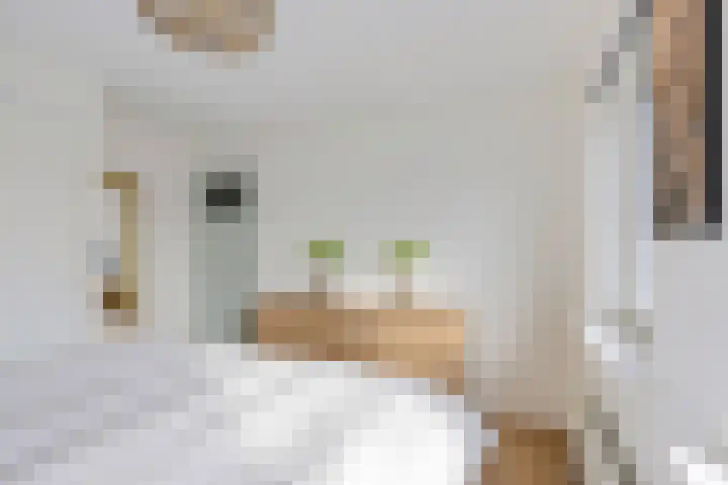 Menso Poppiusstraat 4 Oosterzee thumbnail 21
