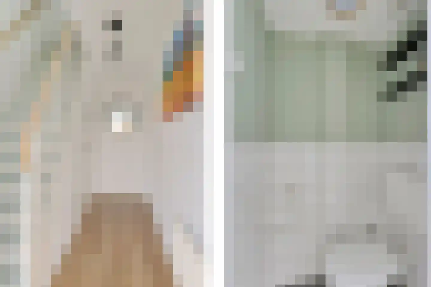 Menso Poppiusstraat 4 Oosterzee thumbnail 5