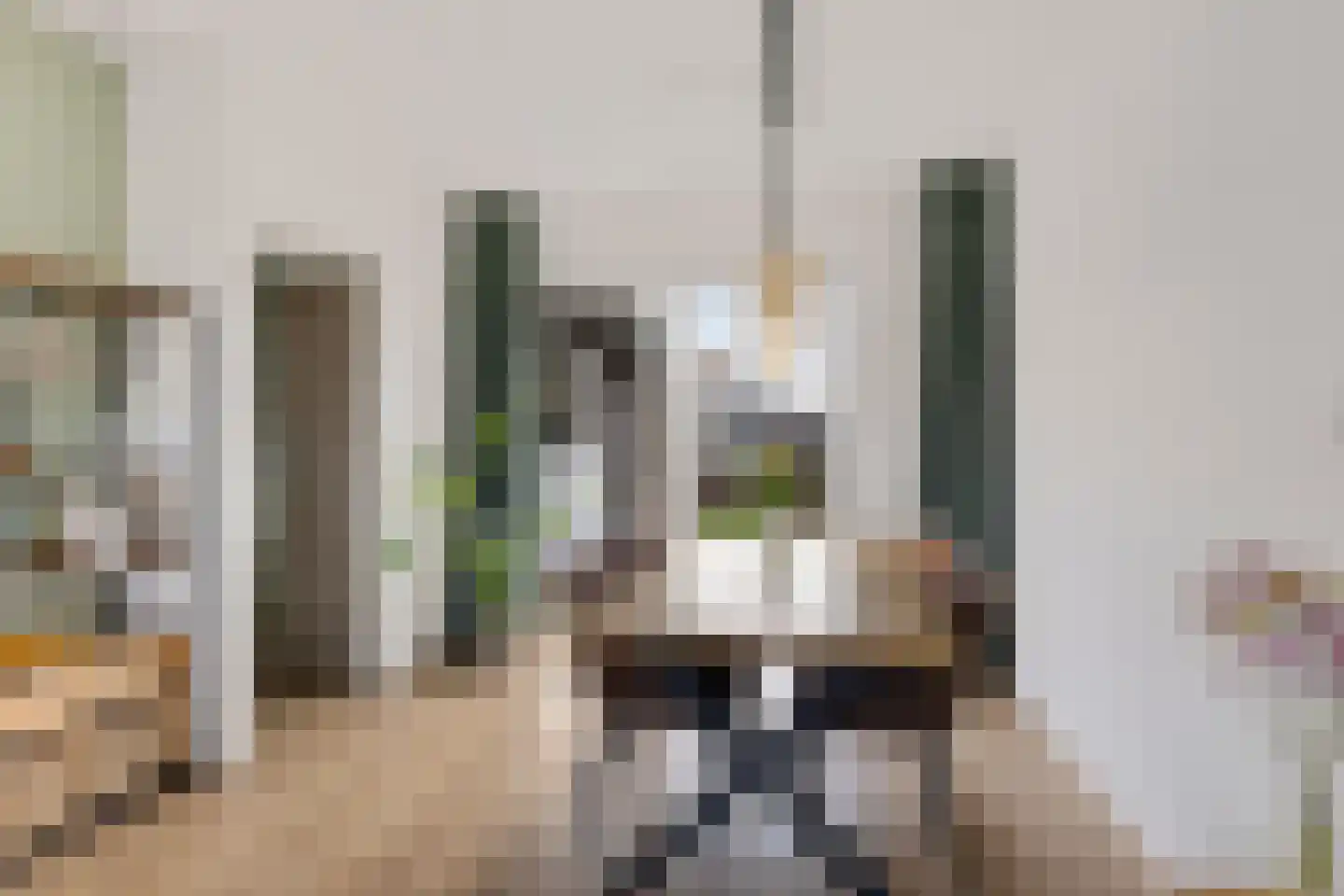 Menso Poppiusstraat 4 Oosterzee thumbnail 8