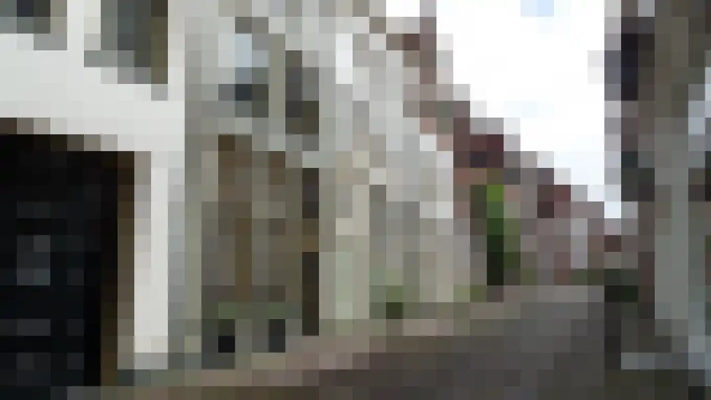 Menstraat 15 A Deventer thumbnail 41