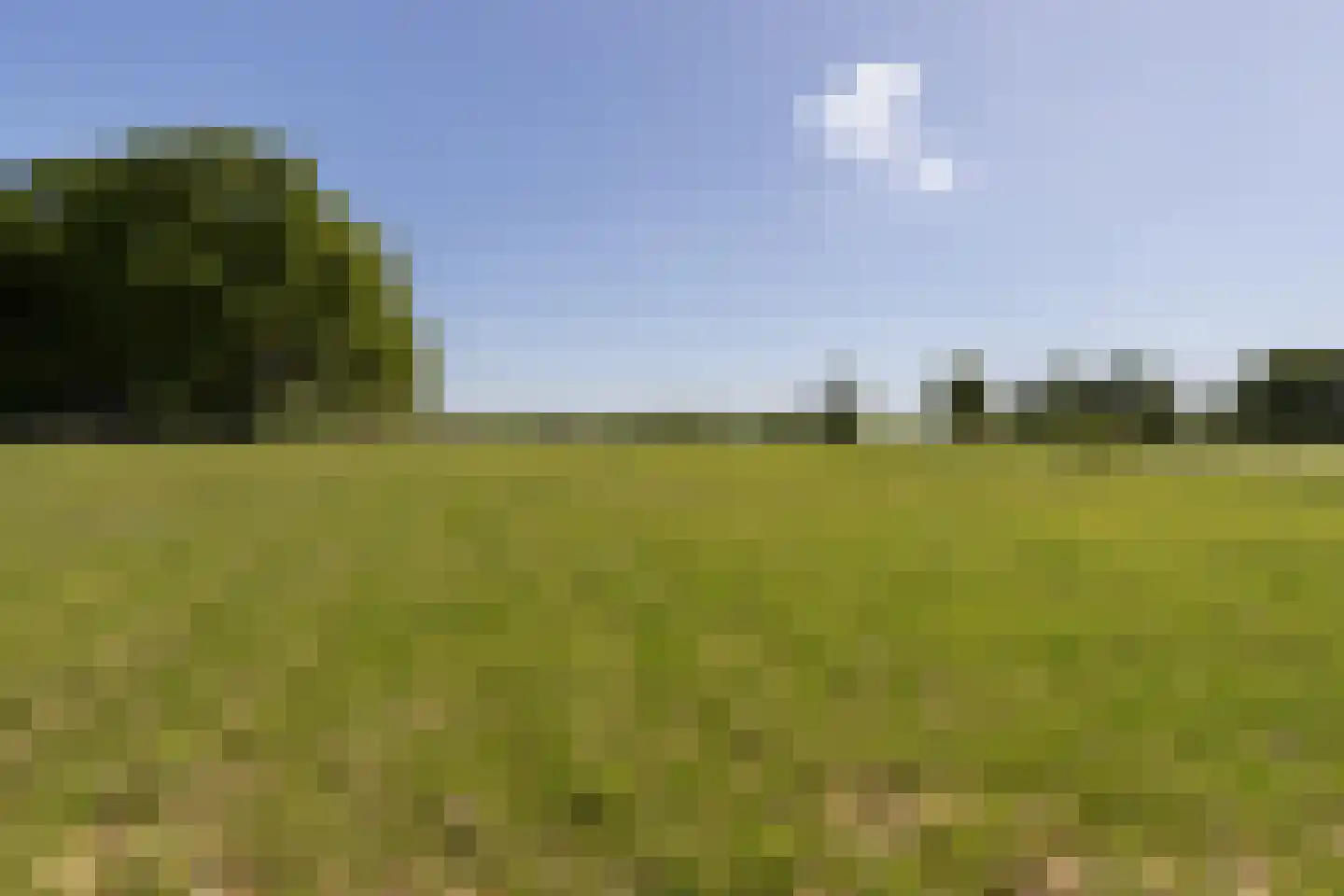 Mensumaweg Tolbert thumbnail 10