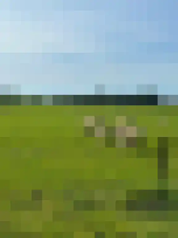 Mensumaweg Tolbert thumbnail 12
