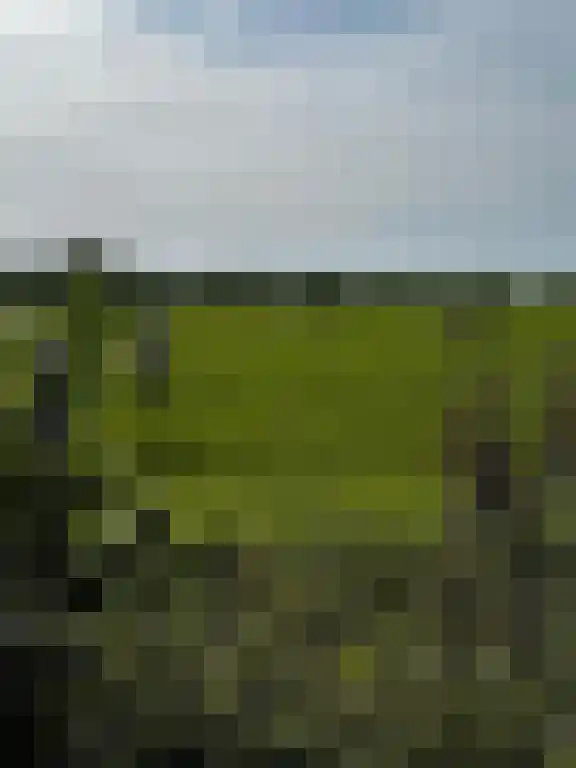 Mensumaweg Tolbert thumbnail 13