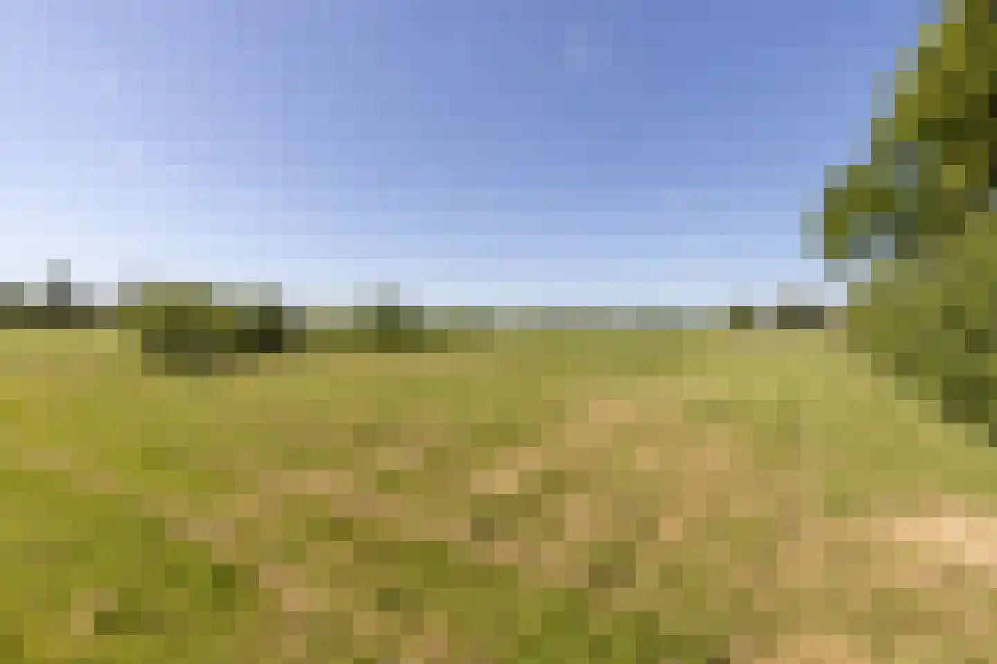 Mensumaweg Tolbert thumbnail 4