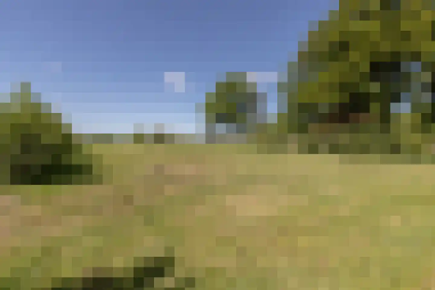 Mensumaweg Tolbert thumbnail 5