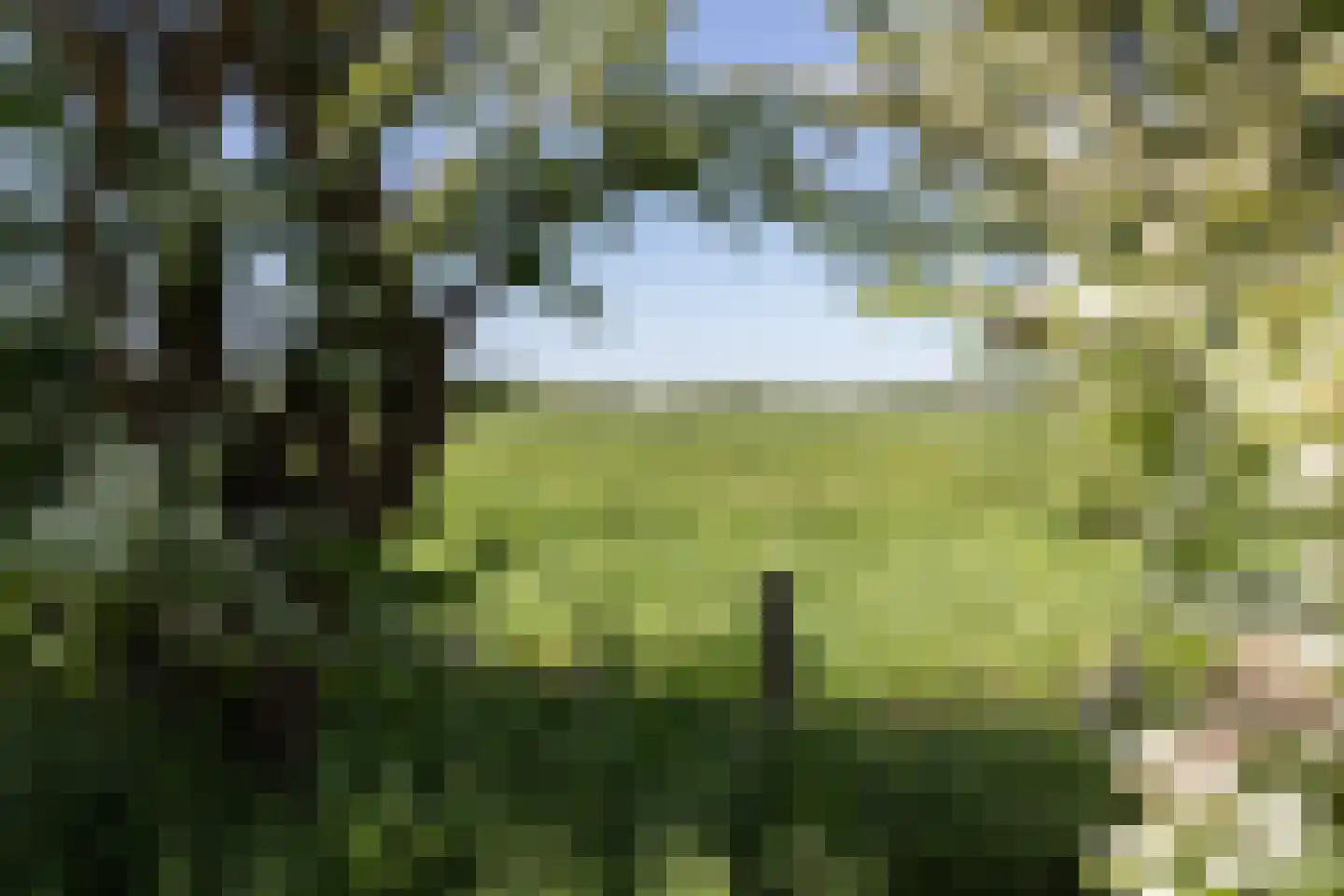 Mensumaweg Tolbert thumbnail 6