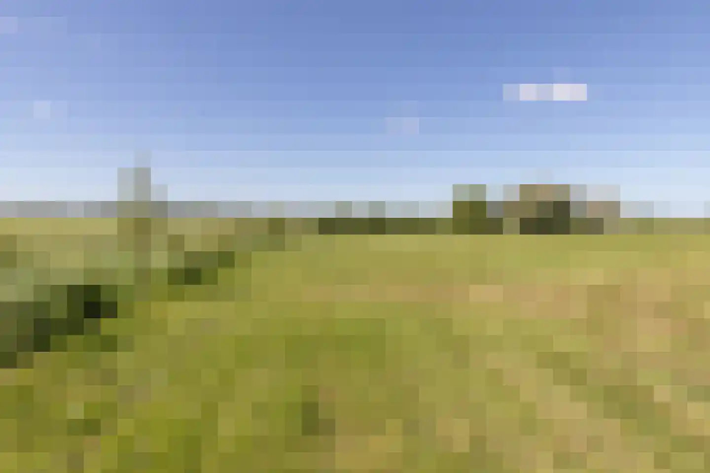 Mensumaweg Tolbert thumbnail 9