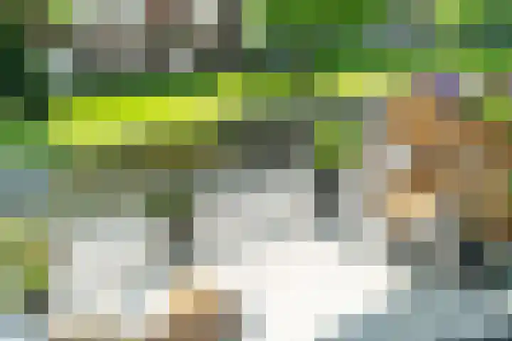 Menswordingkreek 7 Leiderdorp thumbnail 10