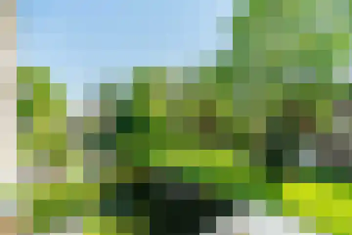 Menswordingkreek 7 Leiderdorp thumbnail 11
