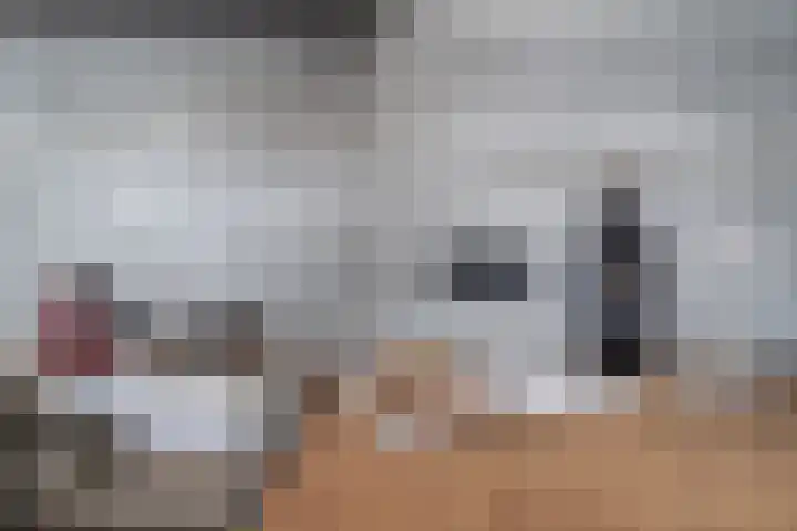 Menswordingkreek 7 Leiderdorp thumbnail 14