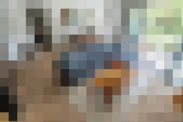 Menswordingkreek 7 Leiderdorp thumbnail 18