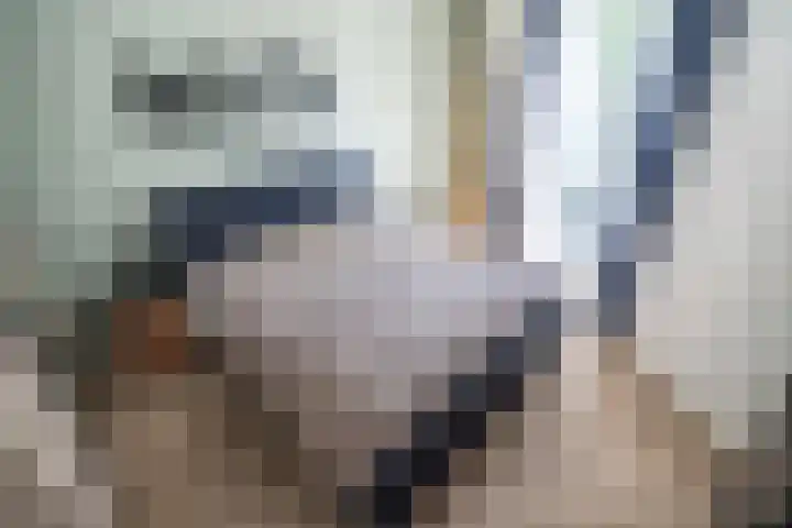 Menswordingkreek 7 Leiderdorp thumbnail 21