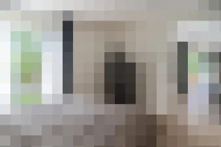 Menswordingkreek 7 Leiderdorp thumbnail 23