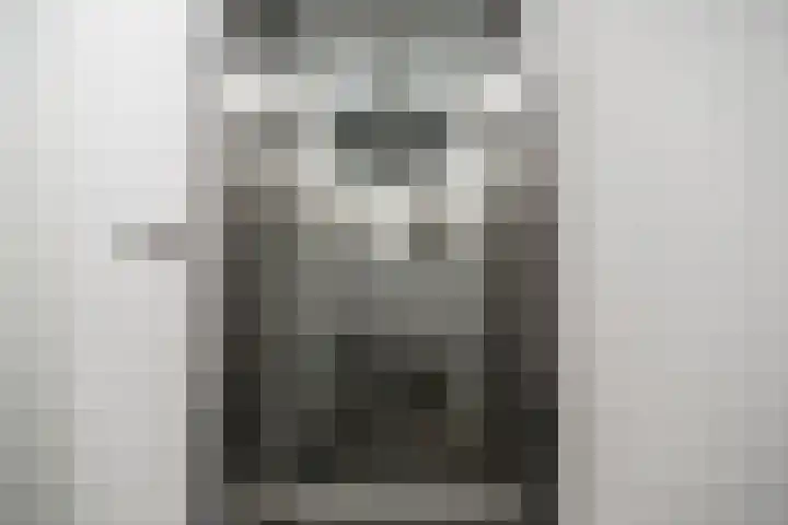 Menswordingkreek 7 Leiderdorp thumbnail 32