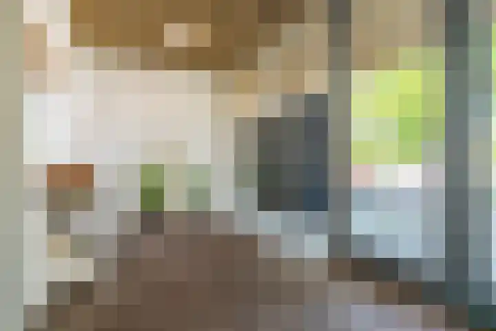 Menswordingkreek 7 Leiderdorp thumbnail 34
