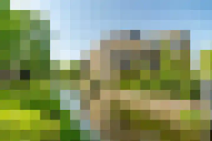 Menswordingkreek 7 Leiderdorp thumbnail 35