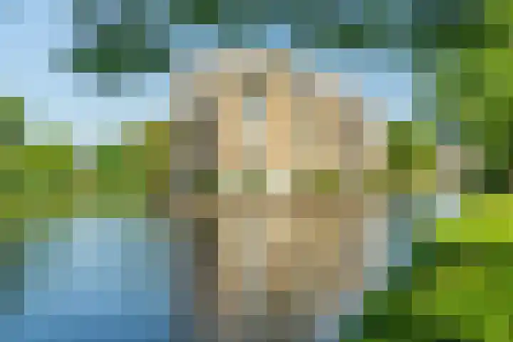 Menswordingkreek 7 Leiderdorp thumbnail 36