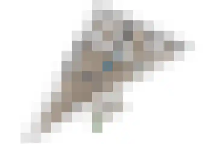 Menswordingkreek 7 Leiderdorp thumbnail 37