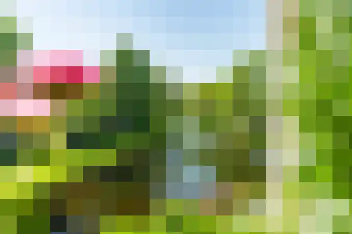 Menswordingkreek 7 Leiderdorp thumbnail 4