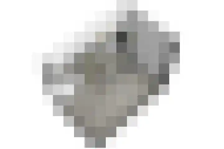 Menswordingkreek 7 Leiderdorp thumbnail 40