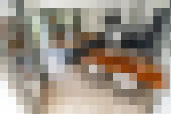 Menswordingkreek 7 Leiderdorp thumbnail 5