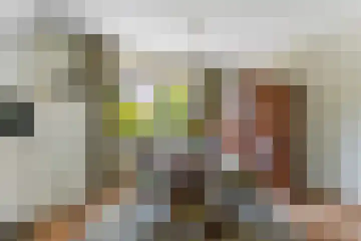 Mentanalaan 7 Oudenbosch thumbnail 10