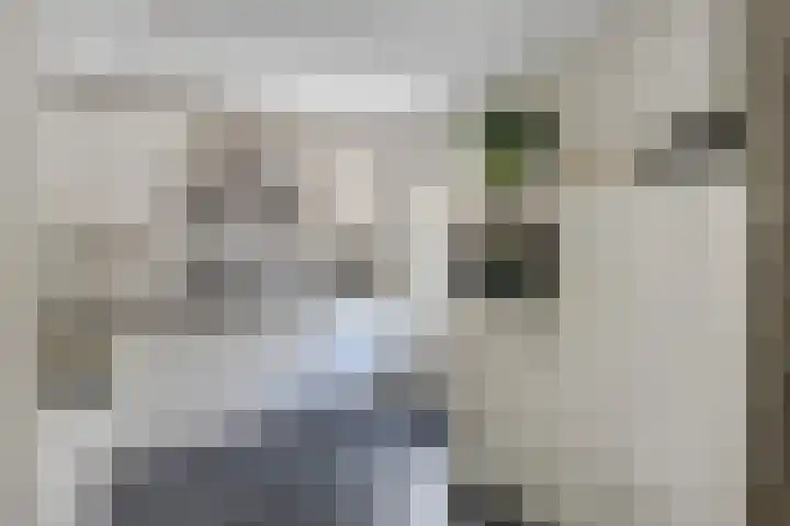 Mentanalaan 7 Oudenbosch thumbnail 14