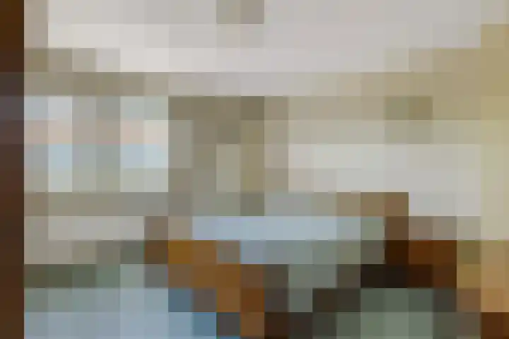 Mentanalaan 7 Oudenbosch thumbnail 15